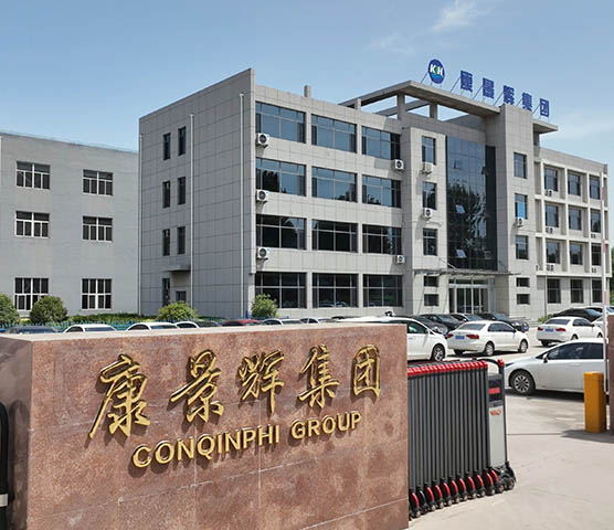 大型臭氧發(fā)生器廠(chǎng)家